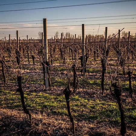 Zoppola Agriturismo Il Casone المظهر الخارجي الصورة